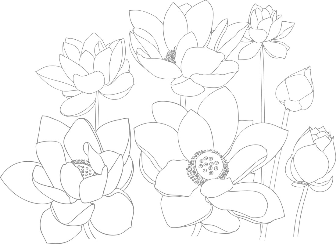 Lotus-flowers.jpg